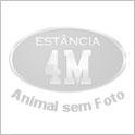 Imagem de MISS FOR FLY 4M